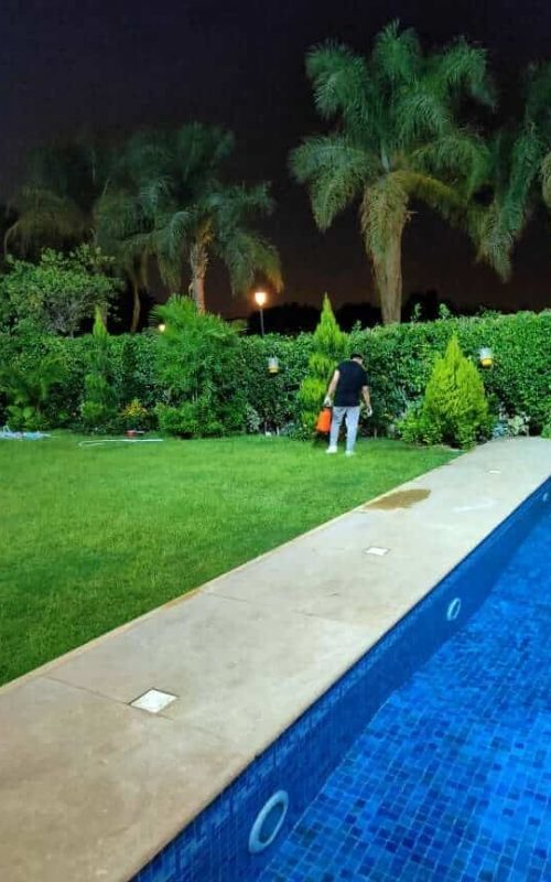 نظافة منزلية التجمع